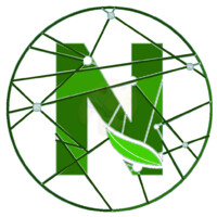 Nanomik Biotechnology logo